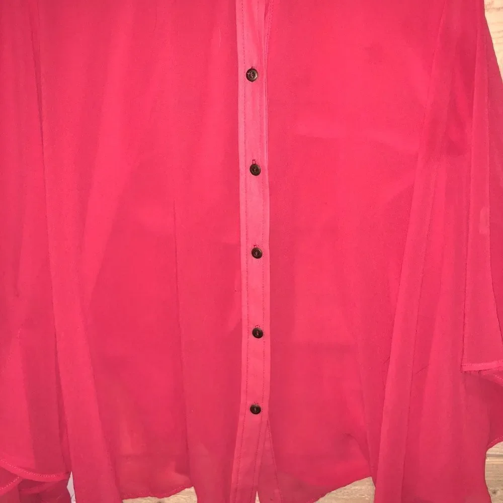 Audrey 3+1 Sheer Blouse - Picture 4 of 8